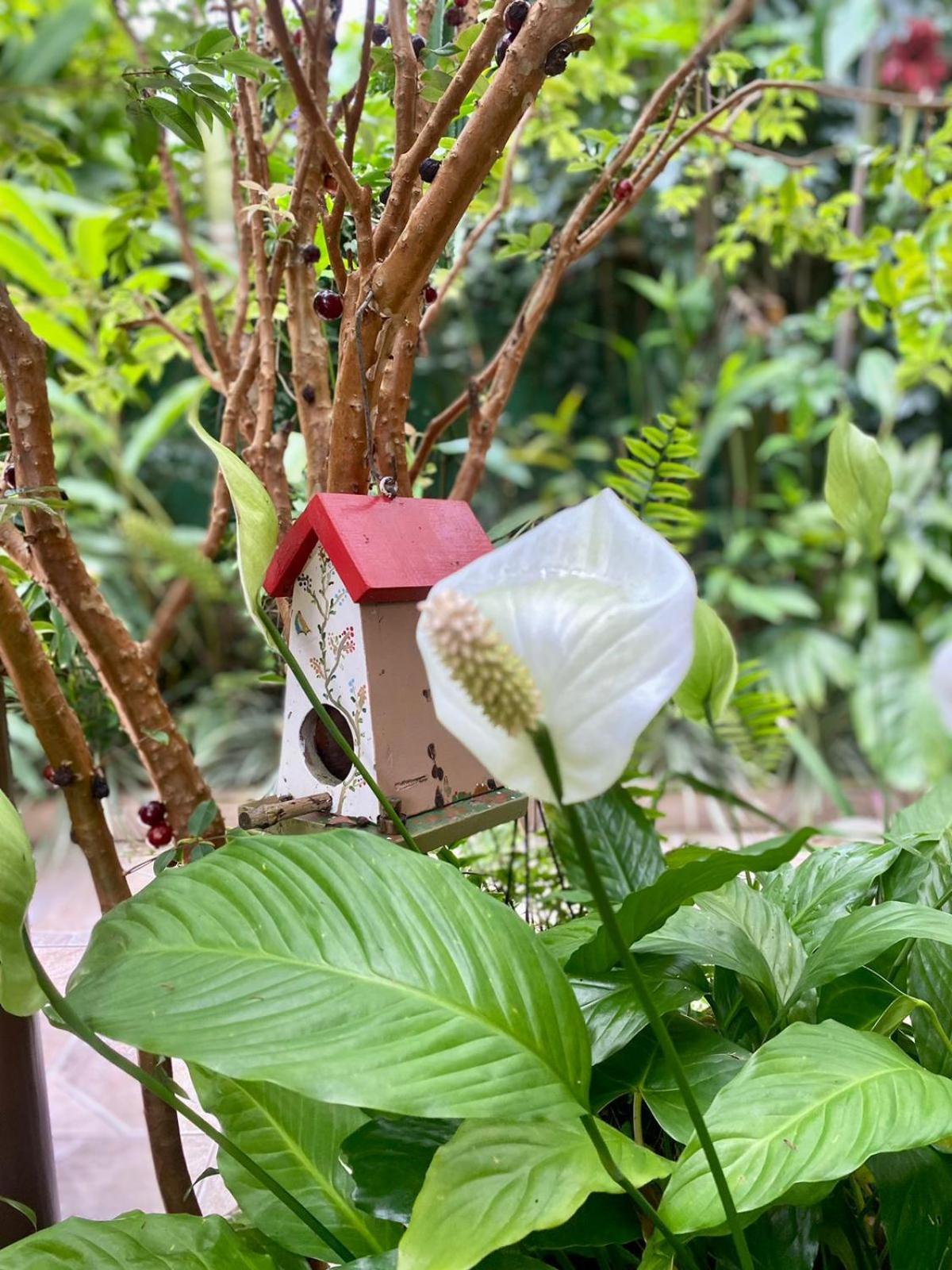 Recanto Toca Das Plantas De Ilhabela II Phòng bức ảnh